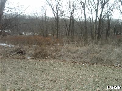 6281 Lock Lane Slatington, PA 18080 - Photo 5 of 6 Gallery Image 5