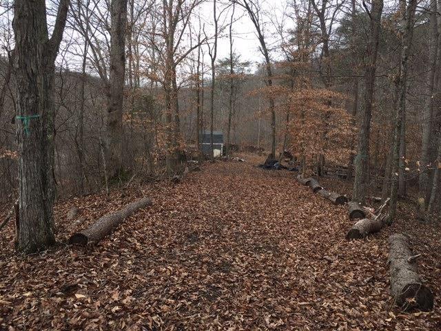 10.44-ac Straight Fork Road Peebles, OH 45660 - Photo 10 of 27