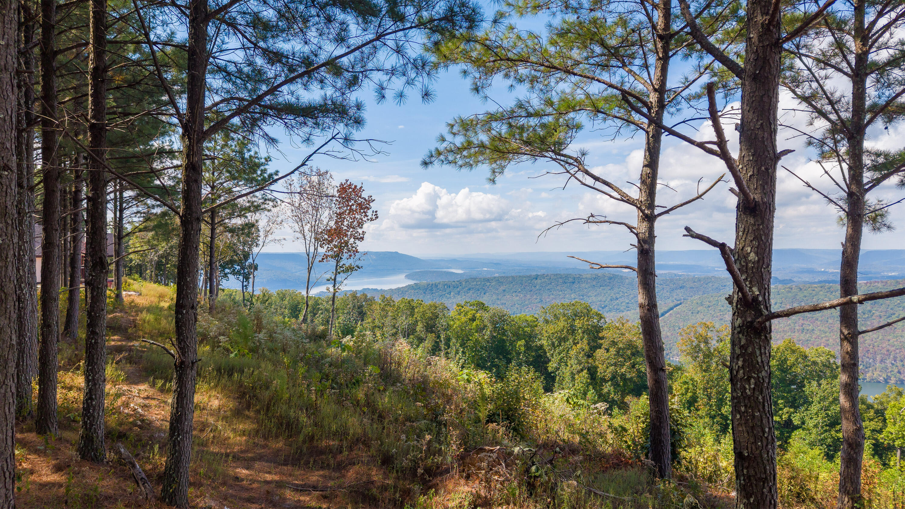 0 Riverbend Road, Unit LOT 2402 Guild, TN 37340 - Photo 12 of 68 2026_09_September_Lot_2402_River_Bend_Rd