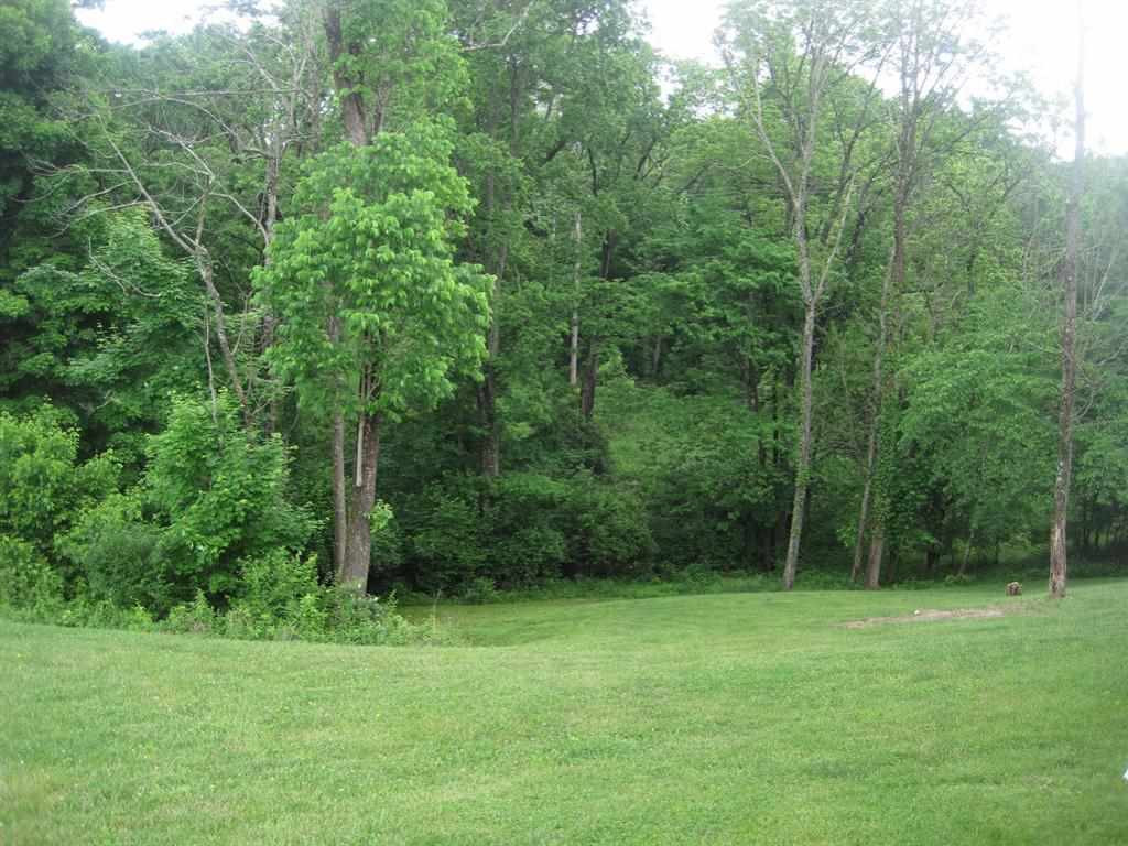 11640 Big Bone Road Union, KY 41091 - Photo 21 of 25 Gallery Image 21