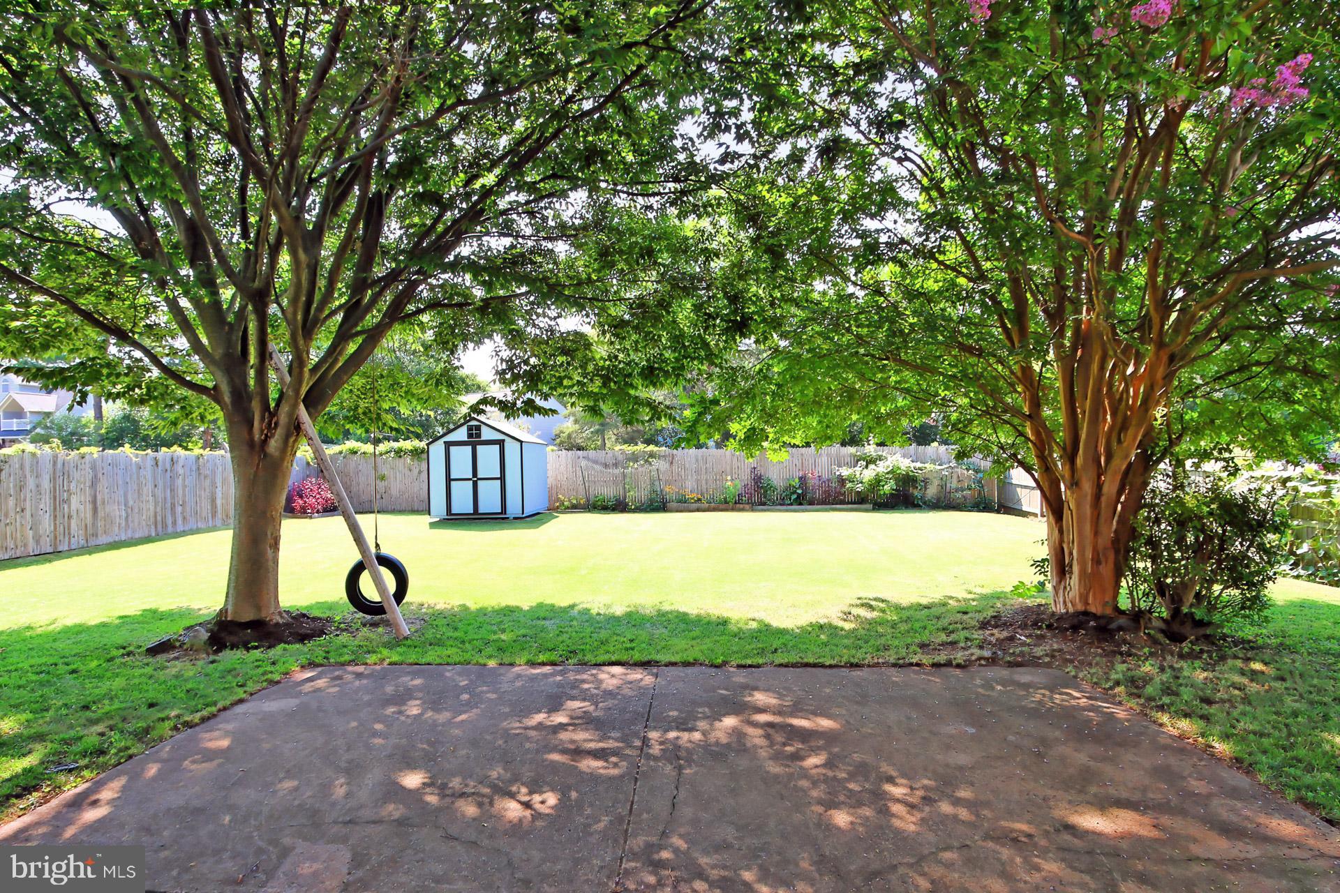 4123 Lees Corner Road Chantilly, VA 20151 - Photo 39 of 47 a view of a yard with a tree