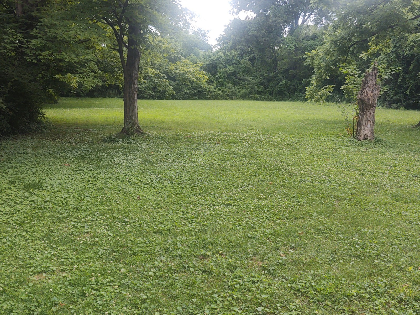 657 Red River Road Gallatin, TN 37066 - Photo 6 of 7 Gallery Image 6