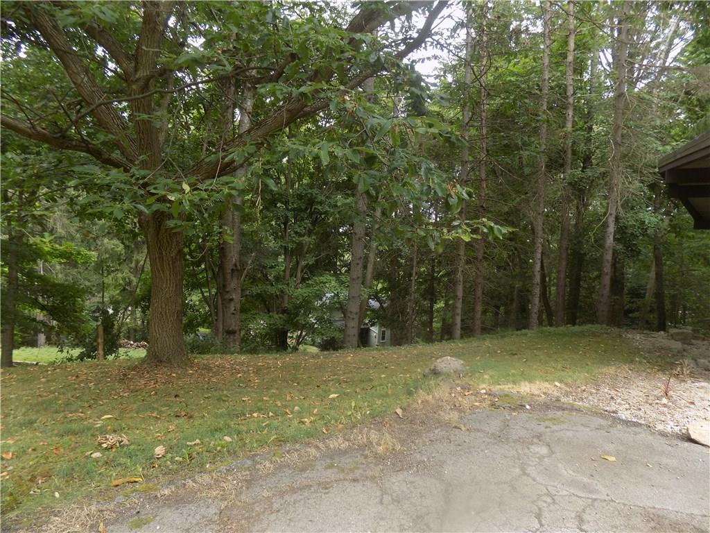 250 Byron Road Pittsburgh, PA 15237 - Photo 17 of 20 Yard & Trees 250 Byron Rd