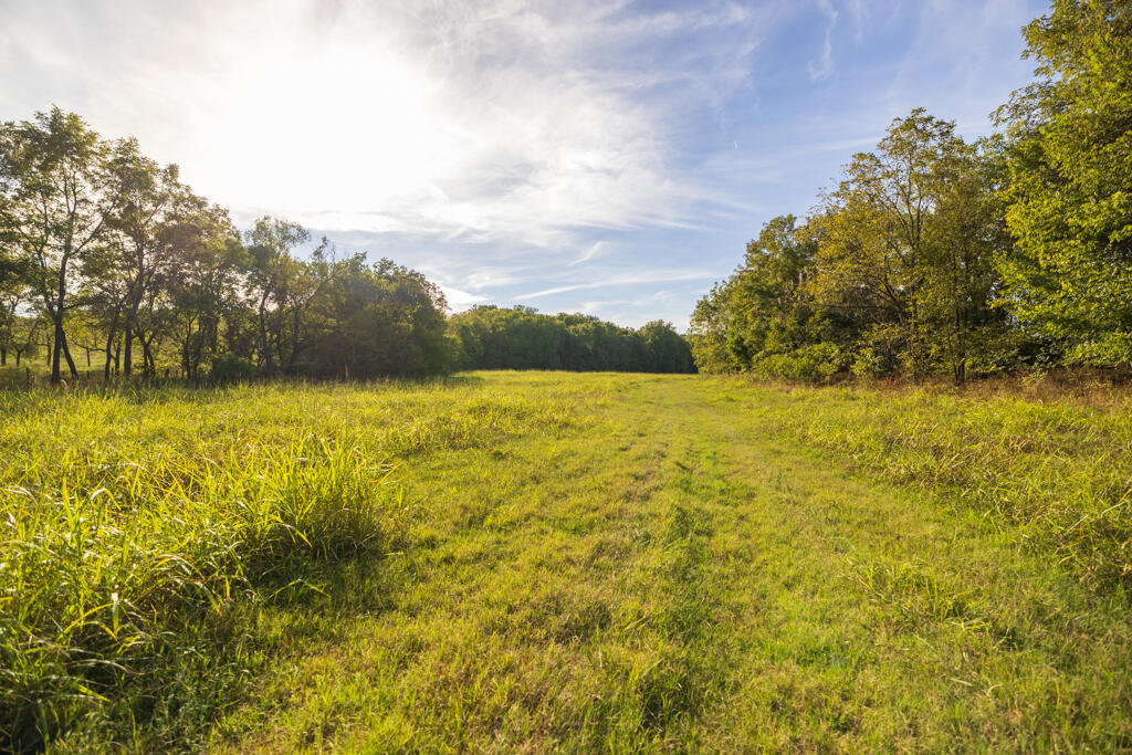 0 Atkins Road Stella, MO 64867 - Photo 29 of 51 McDonald 296 (MLS)-5625