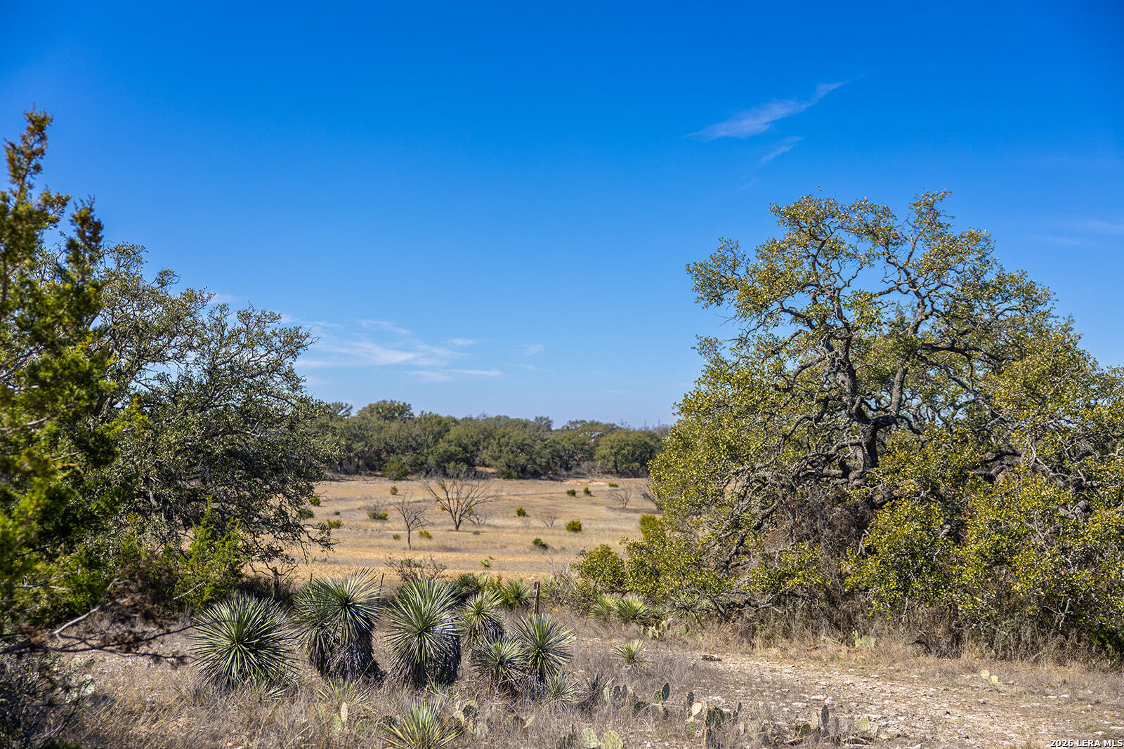6623 Starks Road Mason, TX 76856 - Photo 62 of 114 Gallery Image 62