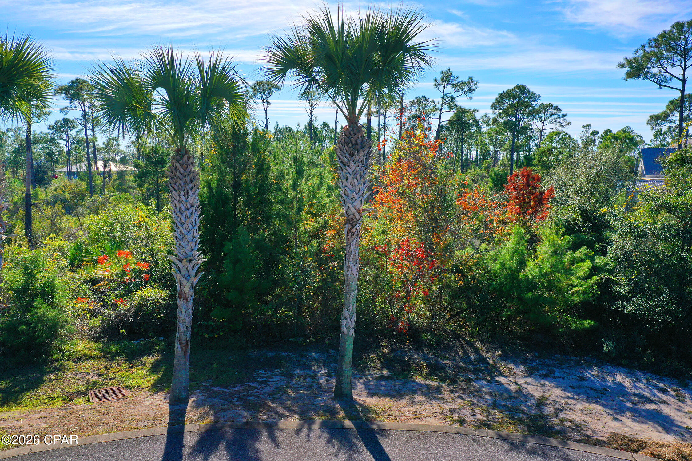 109 Conch Street Port St. Joe, FL 32456 - Photo 2 of 18