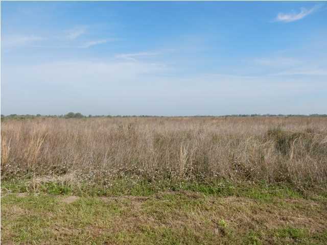 Gladu Road Kaplan, LA 70548 - Photo 2 of 6 Additional Photo