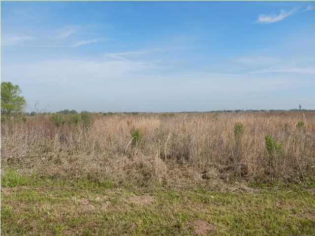Gladu Road Kaplan, LA 70548 - Photo 3 of 6 Additional Photo