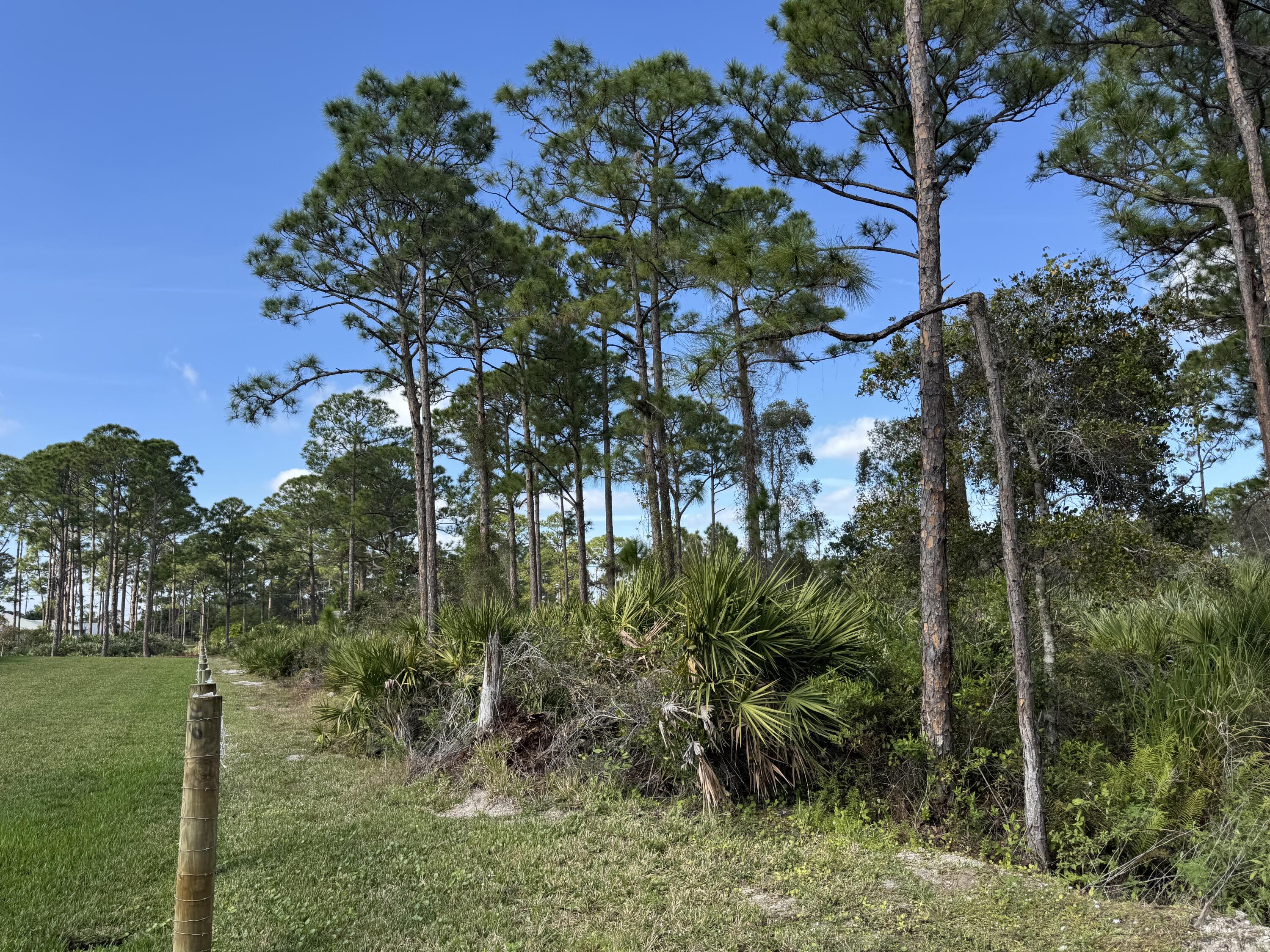 0 Tree Top Trail Fort Pierce, FL 34951 - Photo 2 of 8 a view of a garden