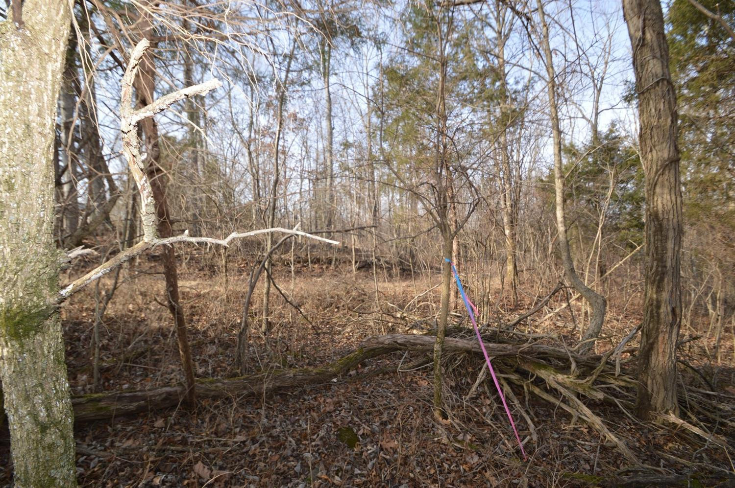 1290 Dennis Road, Unit 3 Lawrenceburg, KY 40342 - Photo 7 of 76 Photo 7