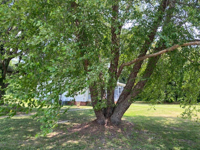 21331 South Bayside Road Cape Charles, VA 23310 - Photo 29 of 32