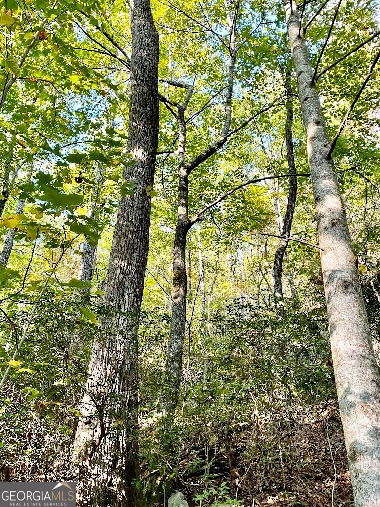 0 Blue Ridge Rabun Gap, GA 30568 - Photo 2 of 11