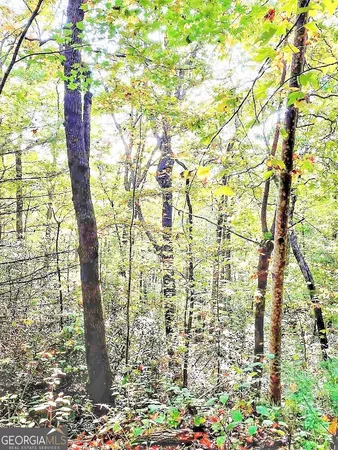 $329,900 | 0 Blue Ridge, Rabun Gap, GA 30568