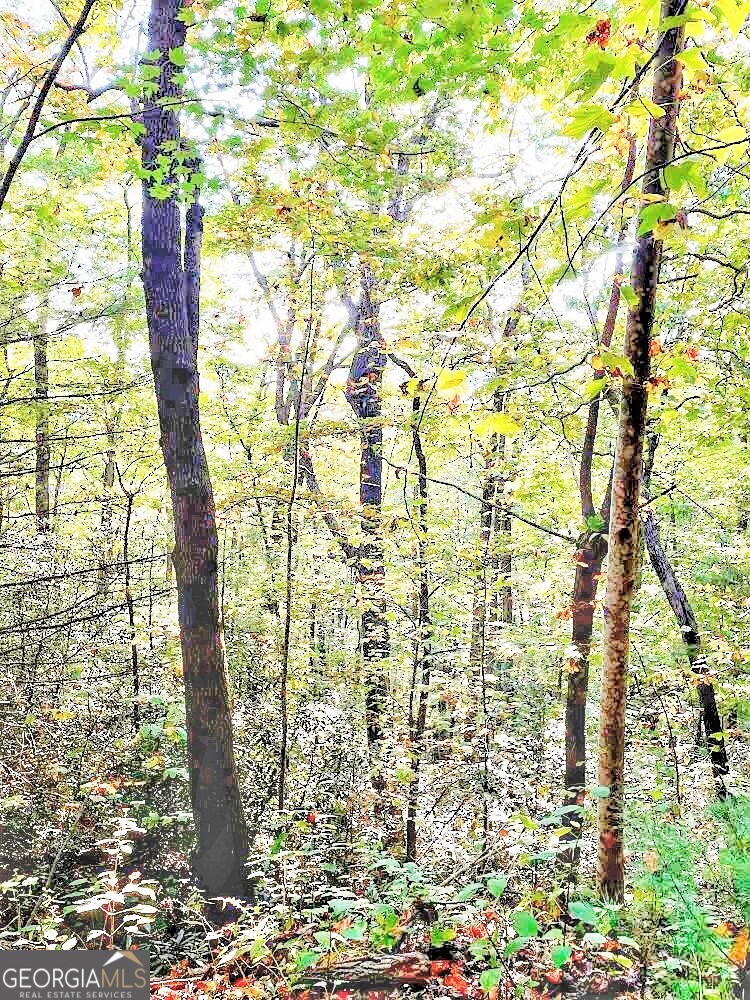 0 Blue Ridge Rabun Gap, GA 30568 - Photo 3 of 11