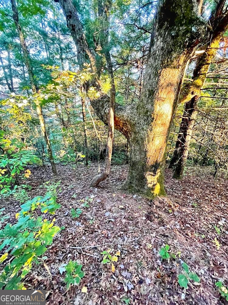 0 Blue Ridge Rabun Gap, GA 30568 - Photo 4 of 11