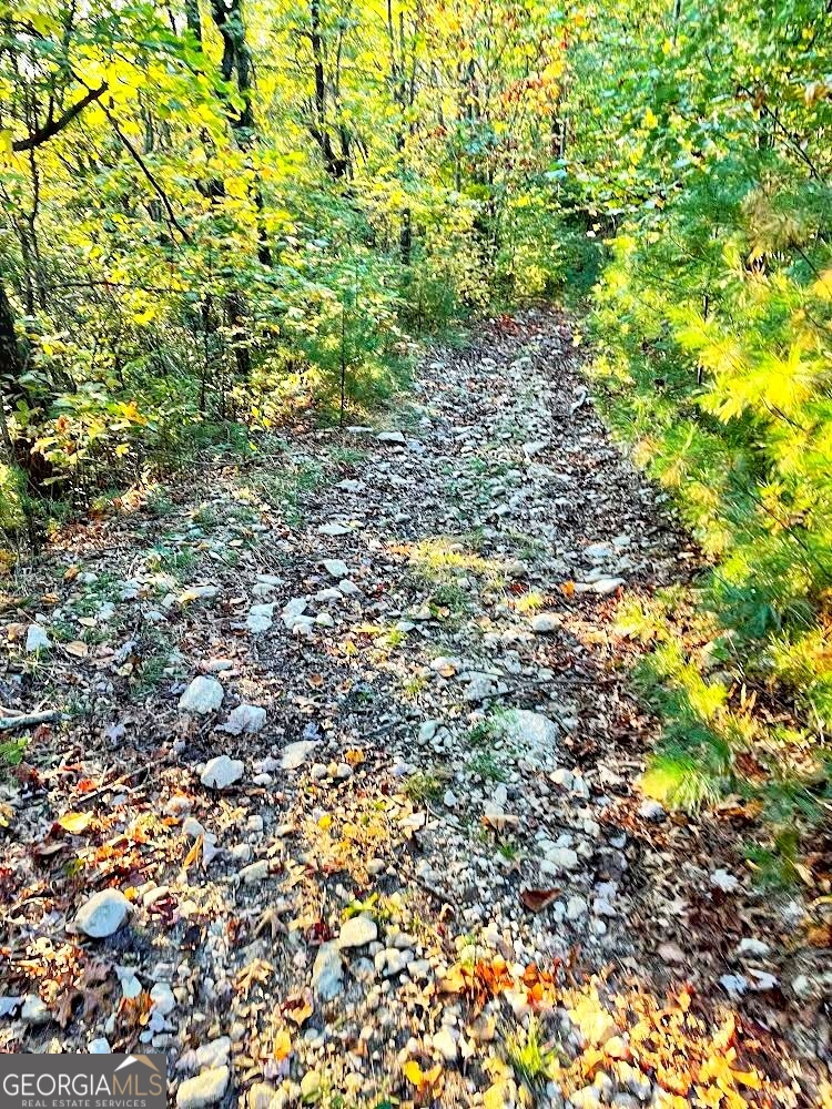 0 Blue Ridge Rabun Gap, GA 30568 - Photo 6 of 11