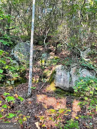 $329,900 | 0 Blue Ridge, Rabun Gap, GA 30568