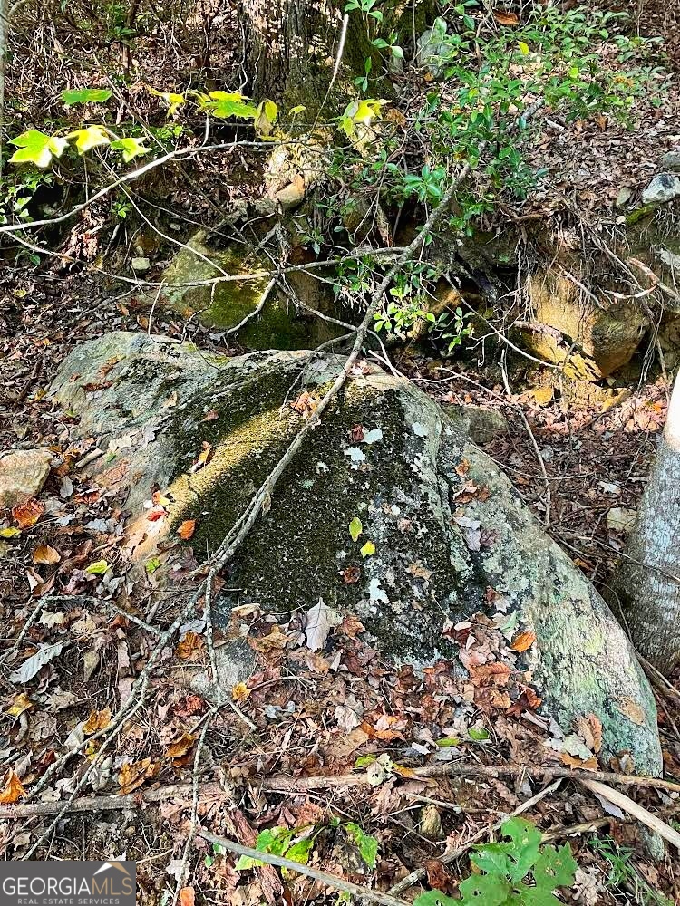 0 Blue Ridge Rabun Gap, GA 30568 - Photo 8 of 11