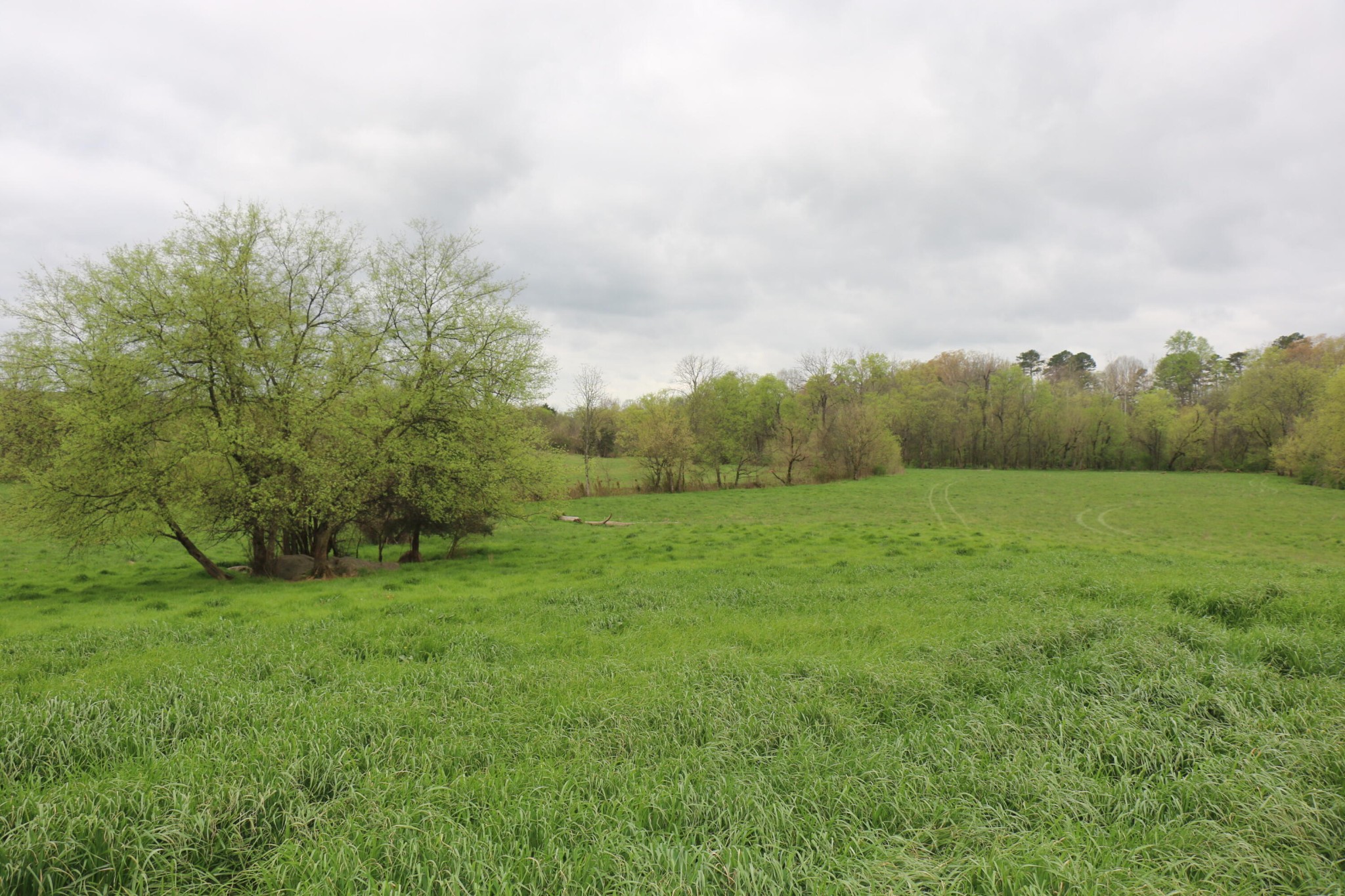551 Campground Road Madisonville, TN 37354 - Photo 7 of 12 Gallery Image 7