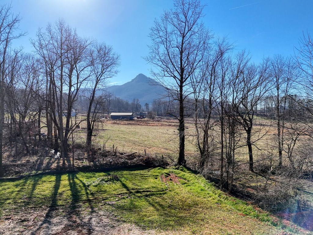 2045 Upper Bell Creek Road Hiawassee, GA 30546 - Photo 37 of 47 a view of a backyard with large trees