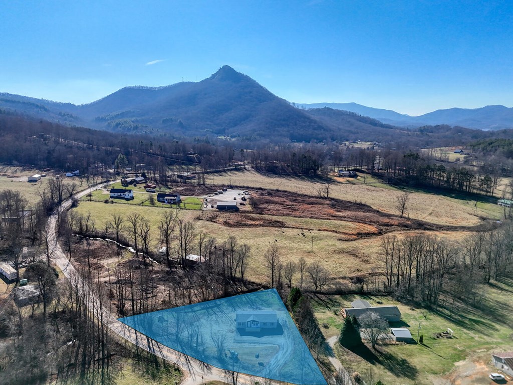 2045 Upper Bell Creek Road Hiawassee, GA 30546 - Photo 47 of 47 a view of a backyard with mountain view
