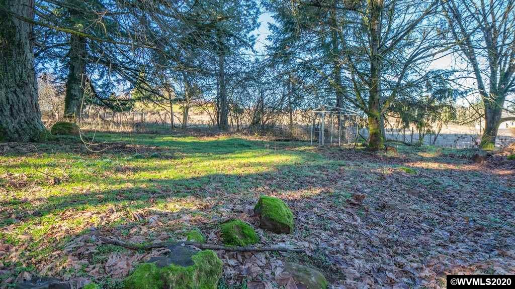 2401 Cole Road South Salem, OR 97306 - Photo 41 of 42 a view of a yard with a trees