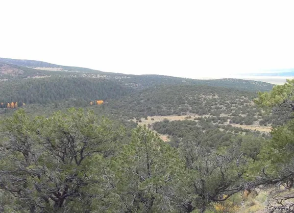 a view of a dry yard with mountains in the background