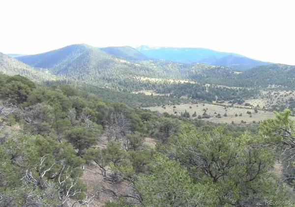 a view of a mountain range with trees in the background