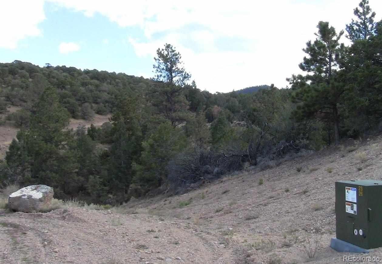 Lot 29 Lakeview Road San Luis, CO 81152 - Photo 2 of 16 a view of a dry yard with trees
