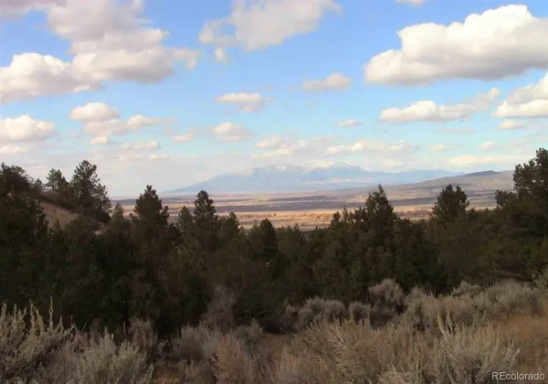 a view of a city and a lot of trees
