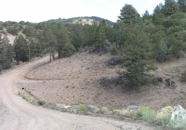 a view of a dry yard with trees