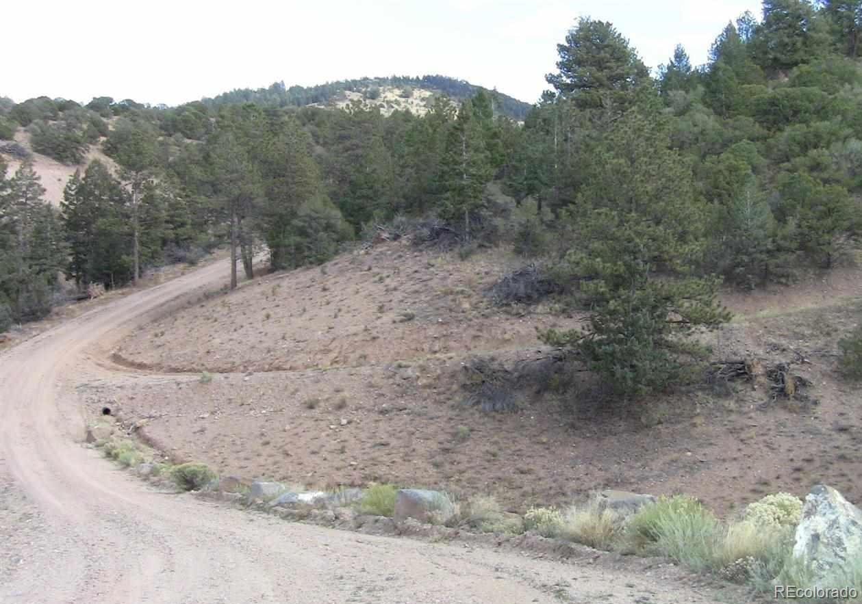 Lot 29 Lakeview Road San Luis, CO 81152 - Photo 4 of 16 a view of a dry yard with trees