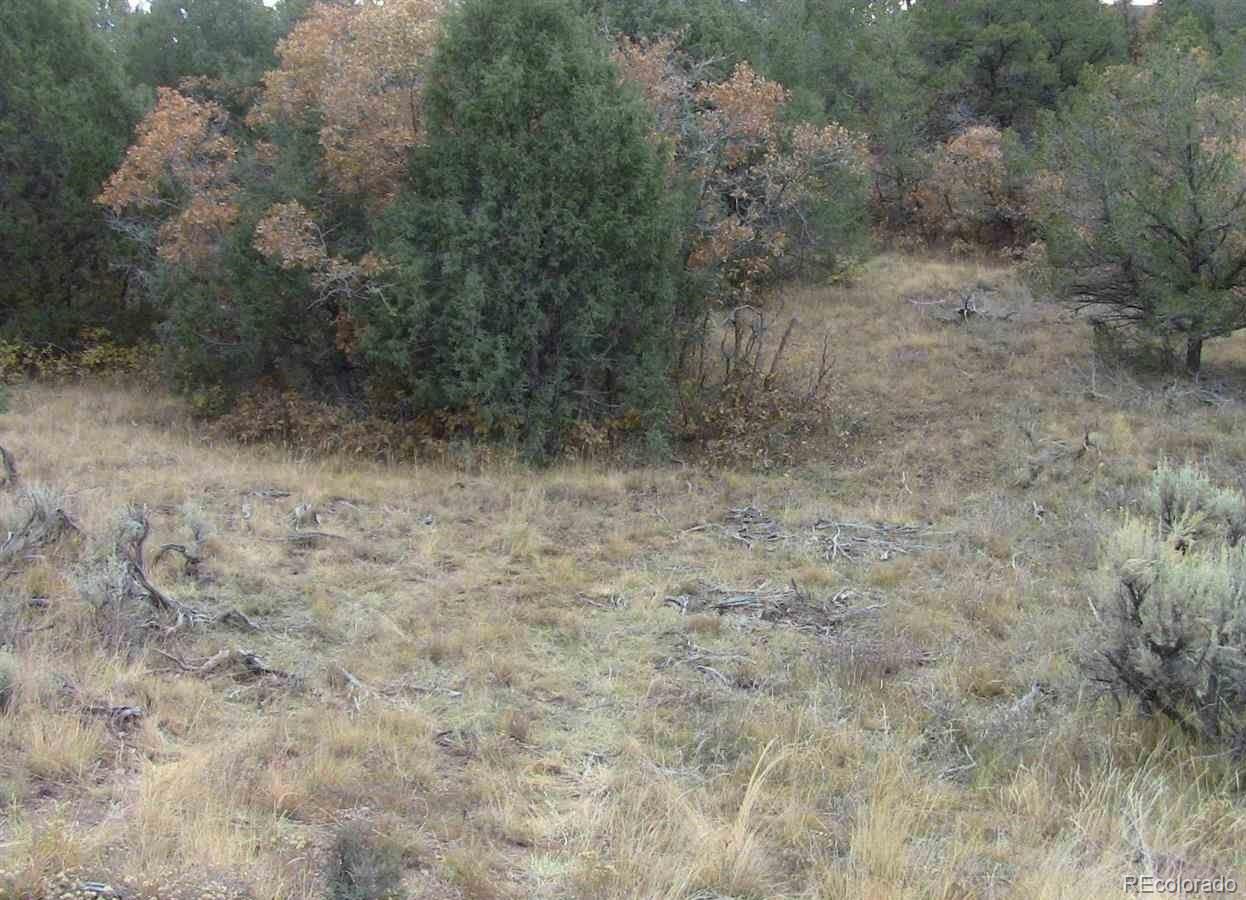 Lot 29 Lakeview Road San Luis, CO 81152 - Photo 6 of 16 a view of a dry yard