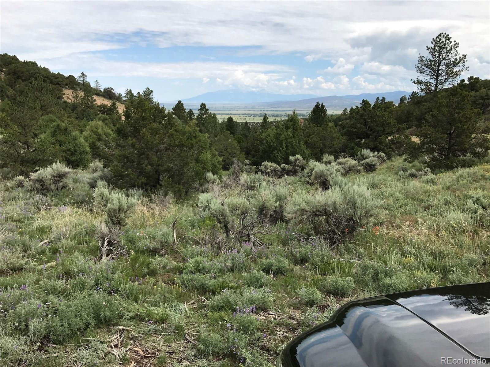 Lot 29 Lakeview Road San Luis, CO 81152 - Photo 8 of 16 a view of a city street with lush green forest