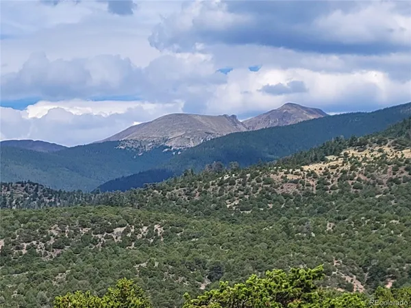 a view of a field with a mountain in the background