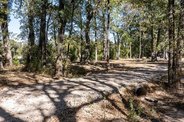 a view of road with trees