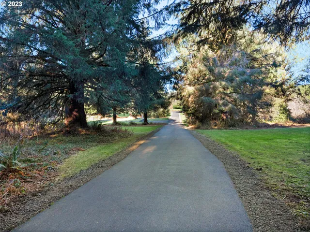 a view of a street with a yard and large trees