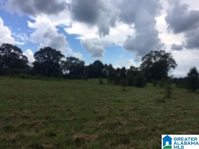 0 Hackney Street, Unit 8 29 ACRES Lincoln, AL 35096 - Photo 16 of 18