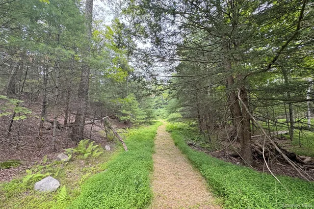 a view of yard with green space