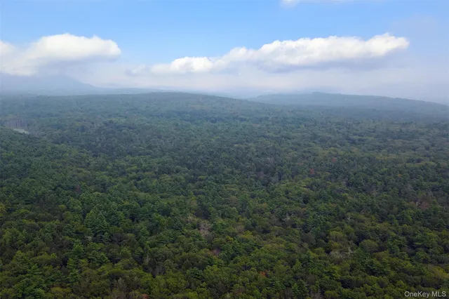 a view of a big yard with lots of bushes
