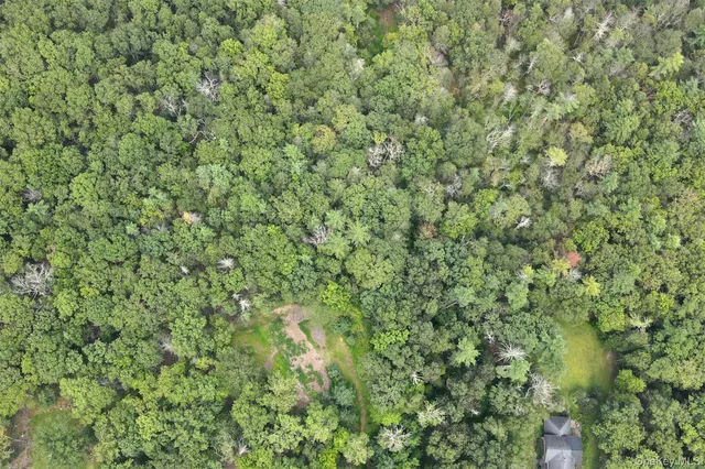 a view of a lush green field