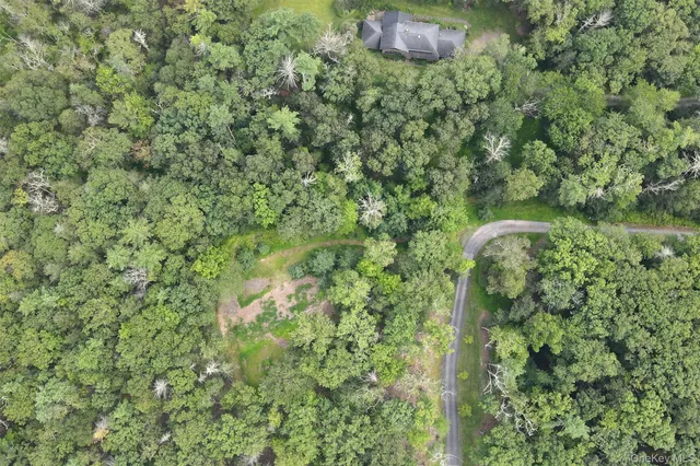 a close up of a plant in a garden