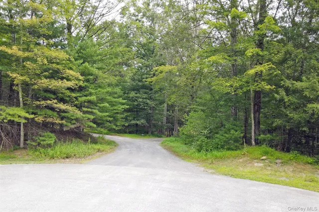 a view of a yard with plants and trees beside of road
