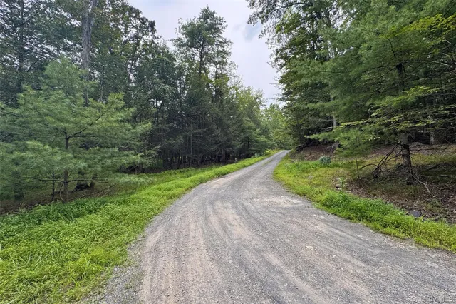 a view of a street with a yard and large trees