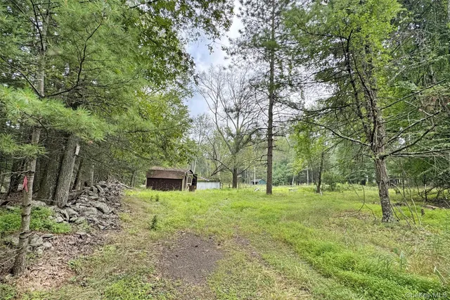 a backyard of a house with lots of green space