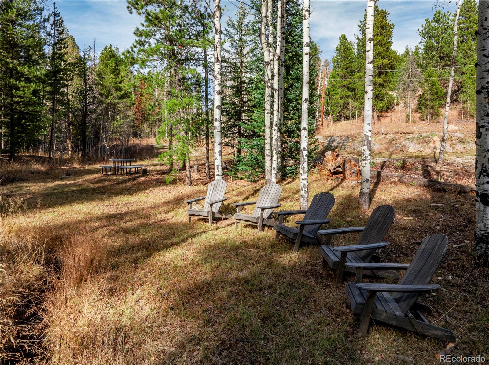 Lot 216620 Indian Springs Road Conifer, CO 80433 - Photo 3 of 43 Gallery Image 3