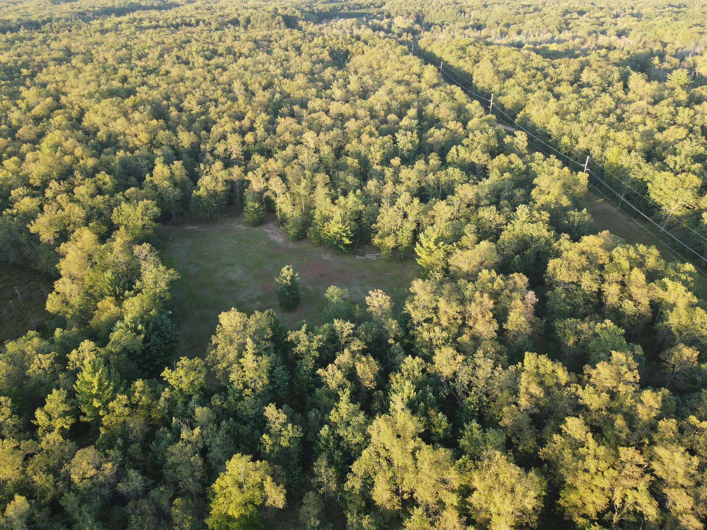 9598 West River Road, Unit 2 PARCELS Irons, MI 49644 - Photo 4 of 40 DJI_0776