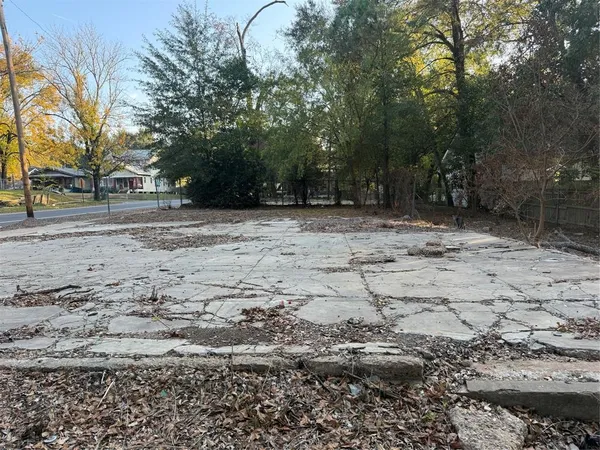 a view of a yard with a tree