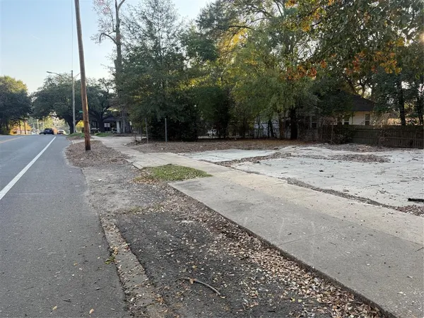 a view of a yard with a tree