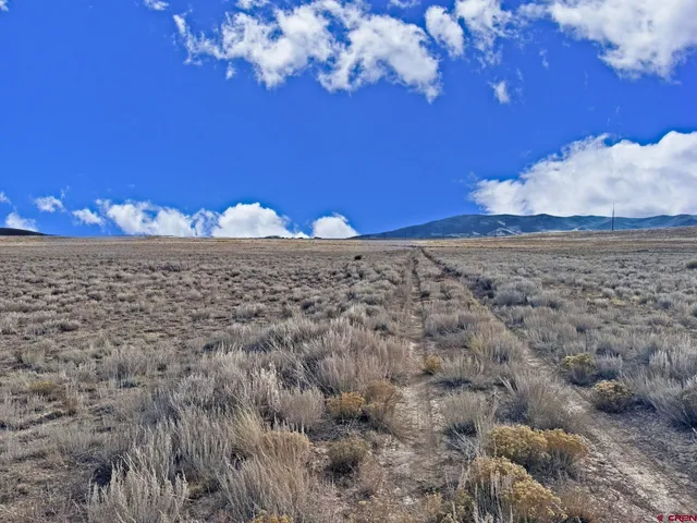$59,000 | 0 Blm Road, Monte Vista, CO 81144